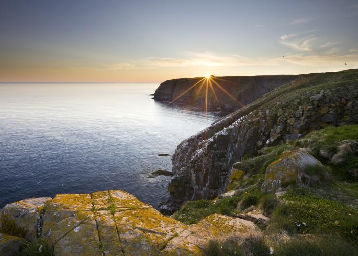 newfoundland-coastline-GettyImages-108273950 Thumbnail