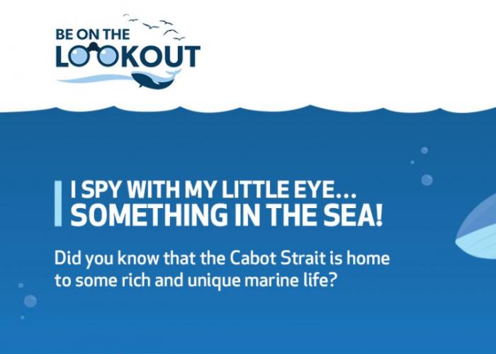 Be On The Lookout