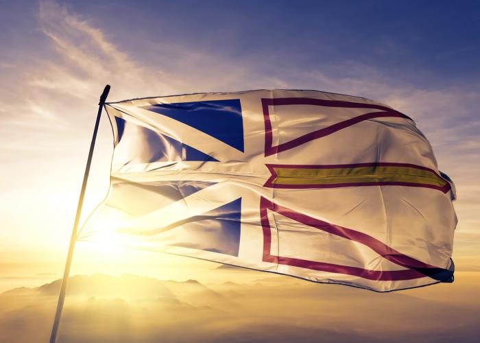 Newfoundland and Labrador Flag