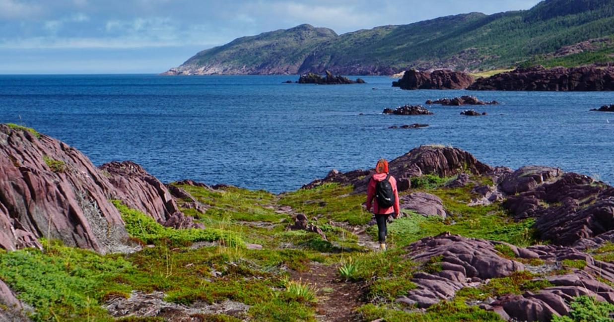 tickle cove