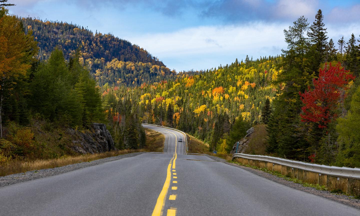 A two-lane highway curving through dense forest beneath a partly cloudy sky.