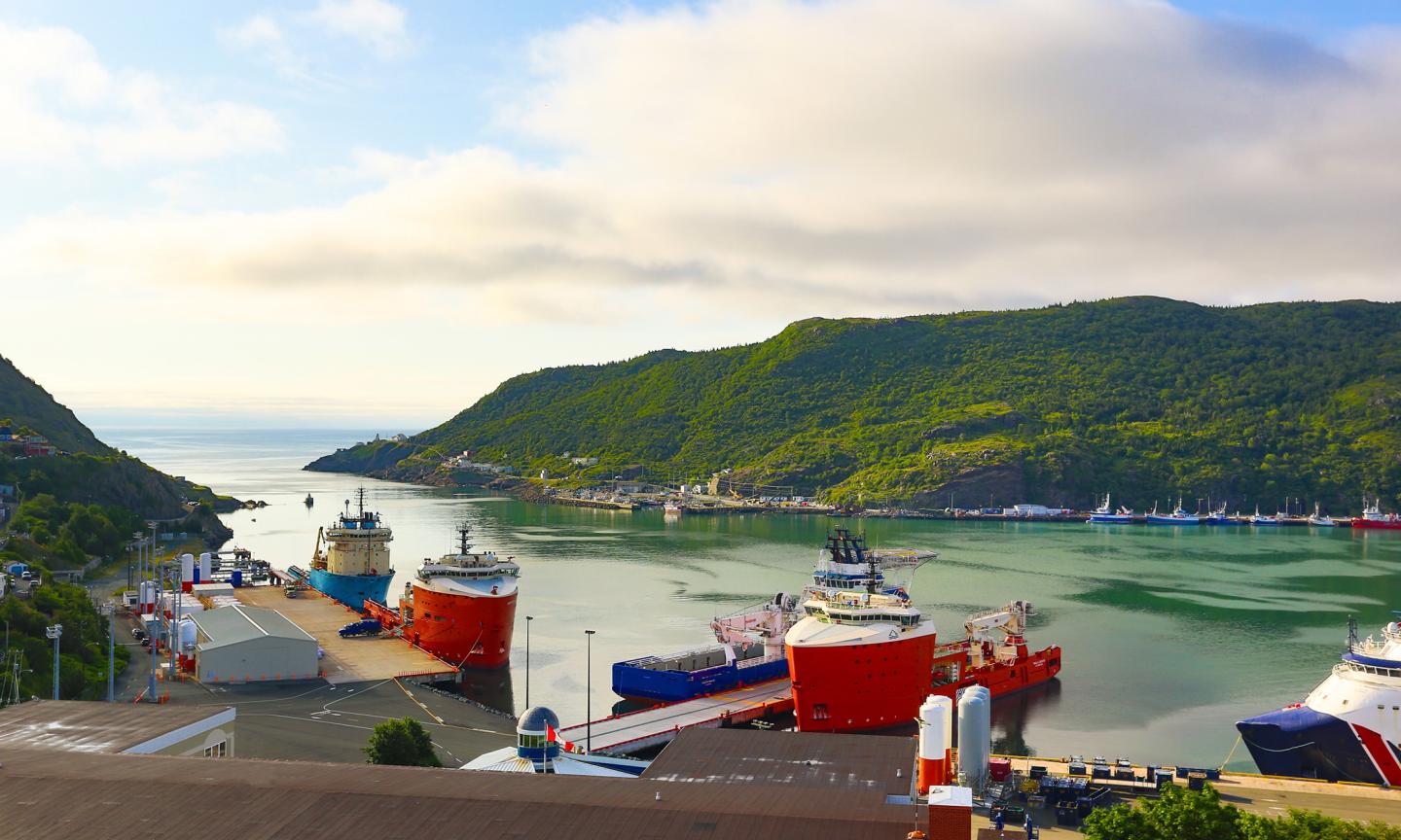 Large vessels docked at a harbour, framed by lush green hills and calm water under a partly cloudy sky.