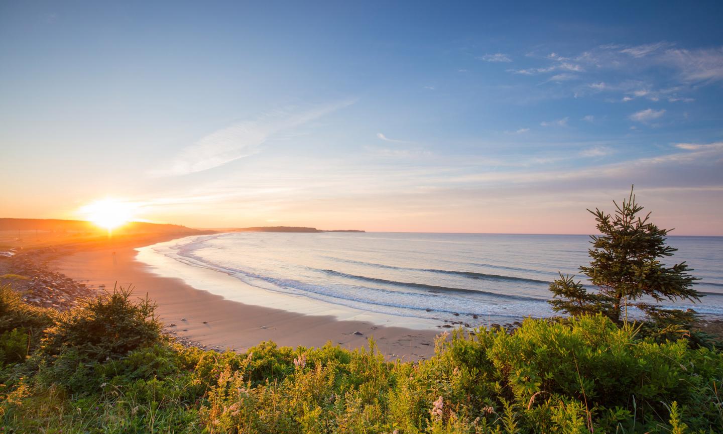 A curved sandy beach at sunset, with gentle waves, wildflowers and spruce trees in the foreground, and a vivid orange sun setting on the horizon.