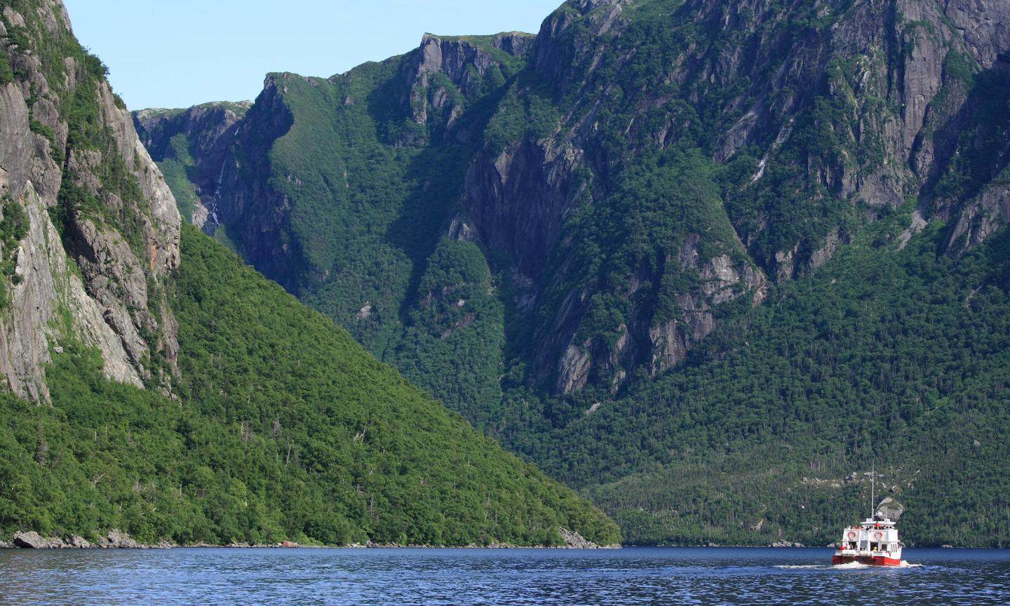 A small tour boat navigating a deep fjord surrounded by towering cliffs covered in green forest.