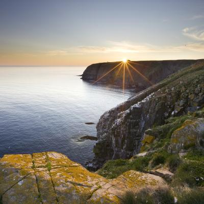 coastline of newfoundland