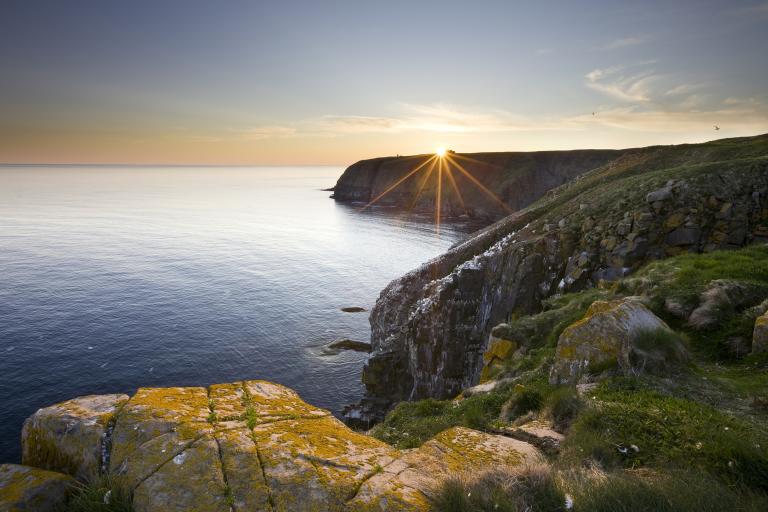 coastline of newfoundland