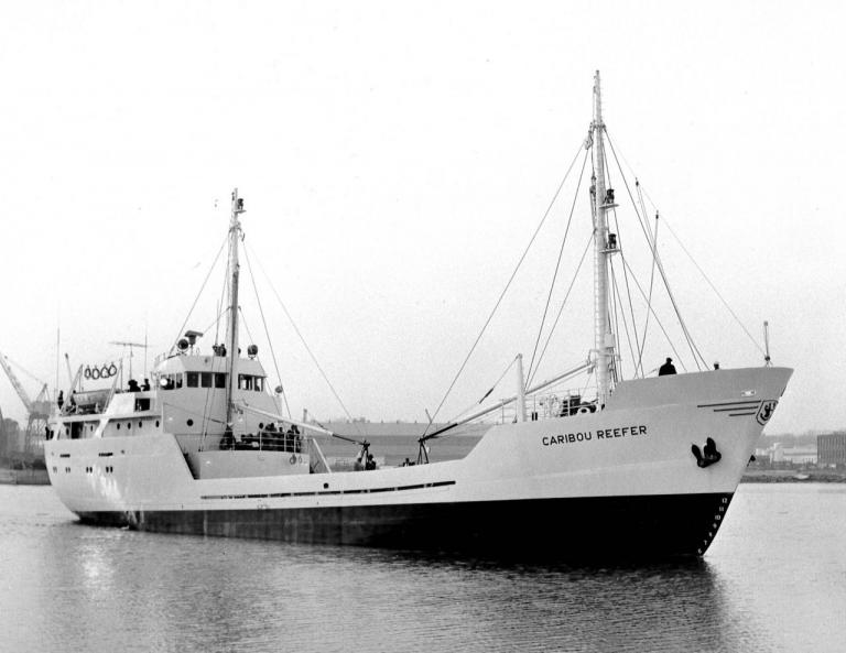 black and white image of the Caribou Reefer 