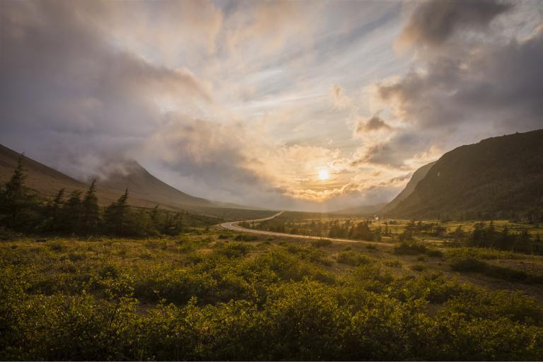 Tablelands Gros Morne