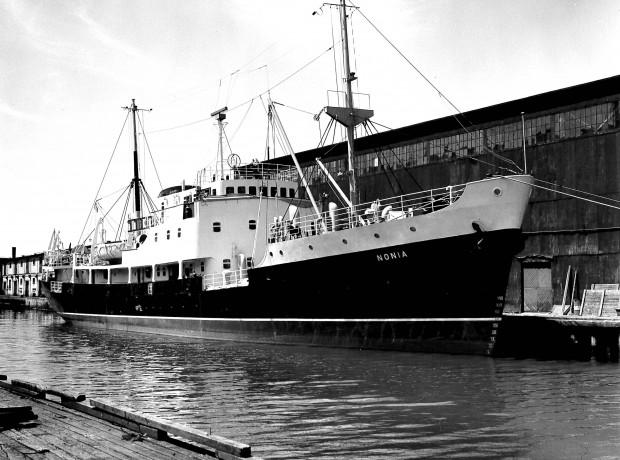 Image: Black and white, Nonia 