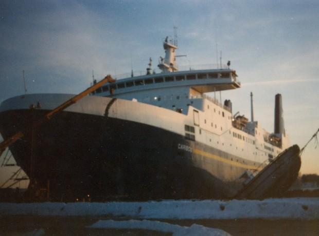 Image of the Caribou submitted by Stephen Ings