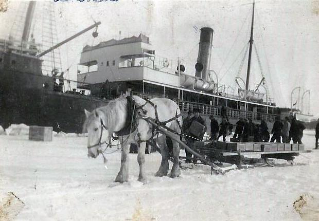 Image of a horse hauling cargo to the SS Glencoe in the snow