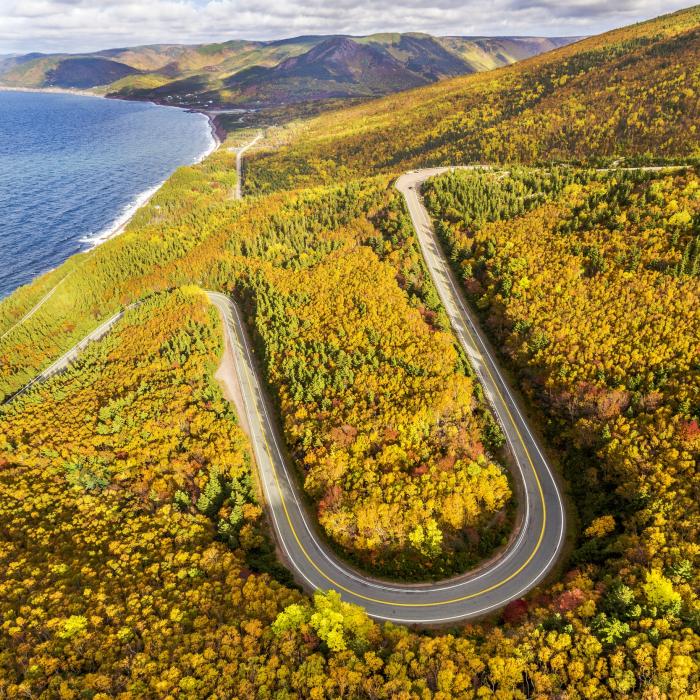 road curves through hillside along ocean's edge during fall