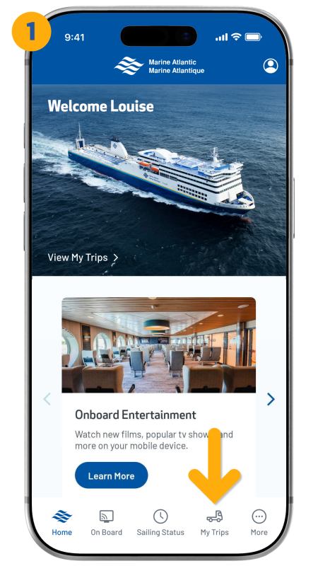 Arrow pointing to my trips in the bottom right