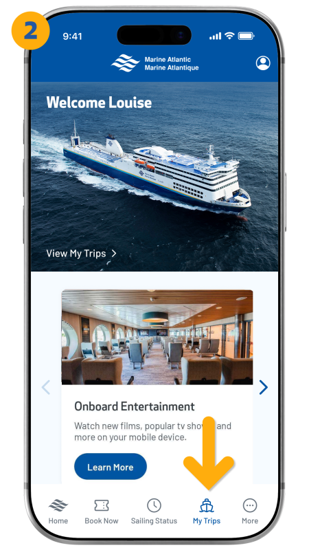Arrow pointing to my trips in the bottom right