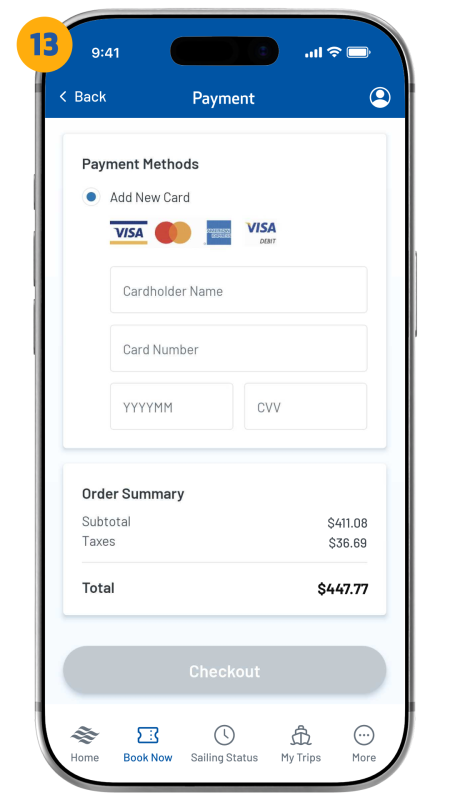 payment screen shown