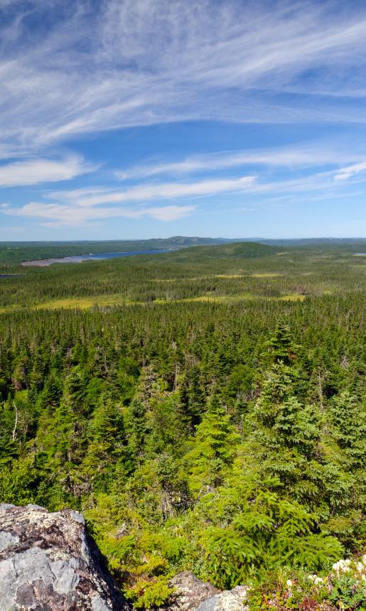 Panoramic view from a mountain top.