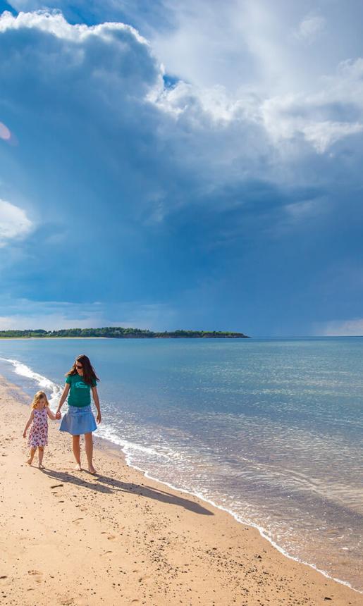 Two people walking on beautiful sandy beach.