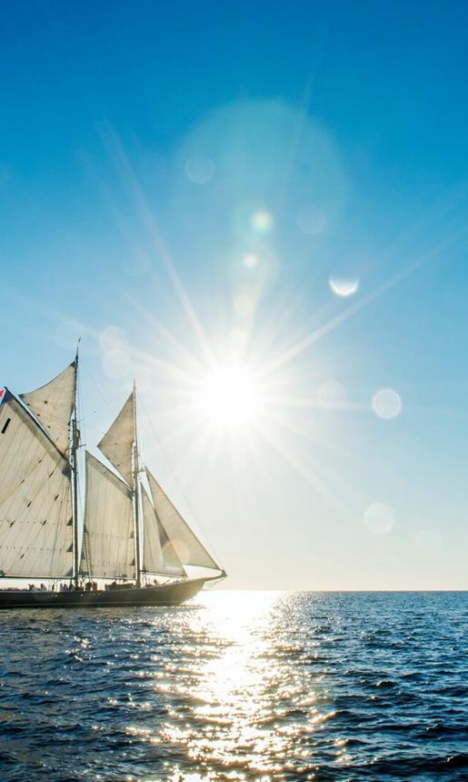 Bluenose II Sailing