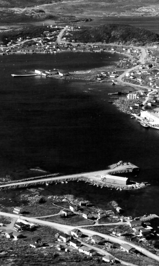 Bird's Eye View of St. Anthony, Newfoundland