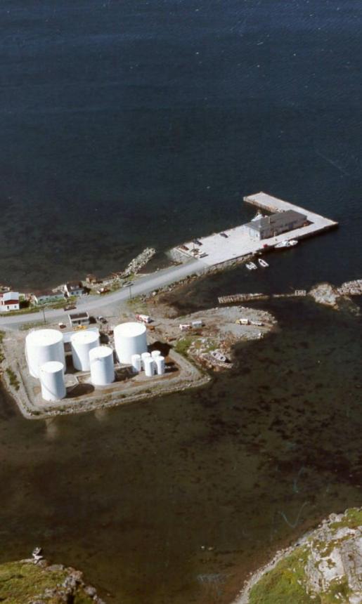Bird's Eye View of St. Anthony, Newfoundland