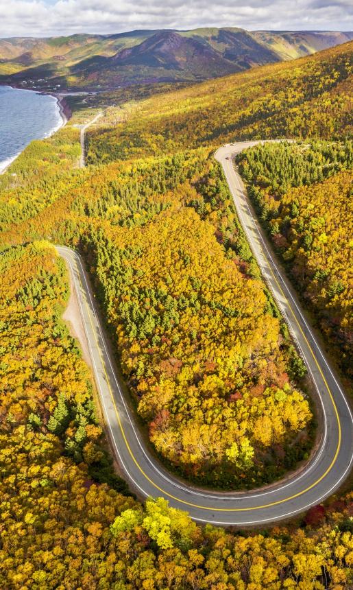road curves through hillside along ocean's edge during fall