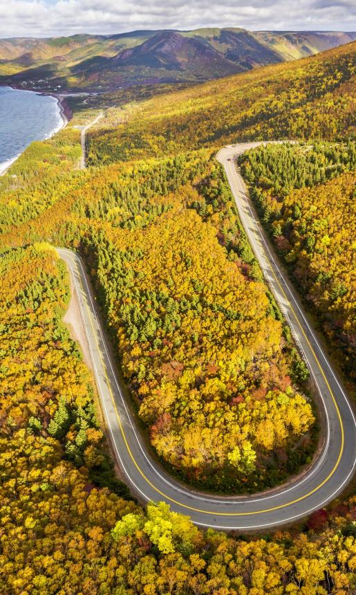 road curves through hillside along ocean's edge during fall