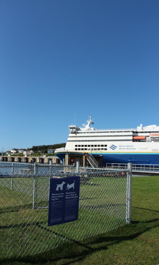 Dog Park fenced area, next to marine atlantic ferry and terminal