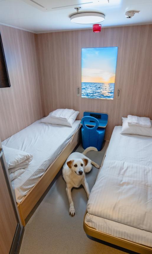 Pet-friendly two bed cabin